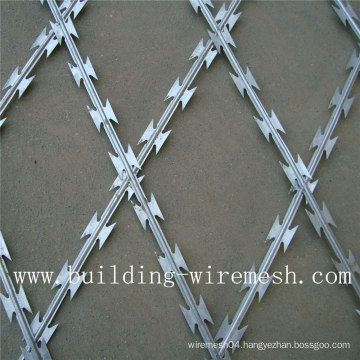 Hot Dipped Galvanized Steel Wire and Plate Razor Wire